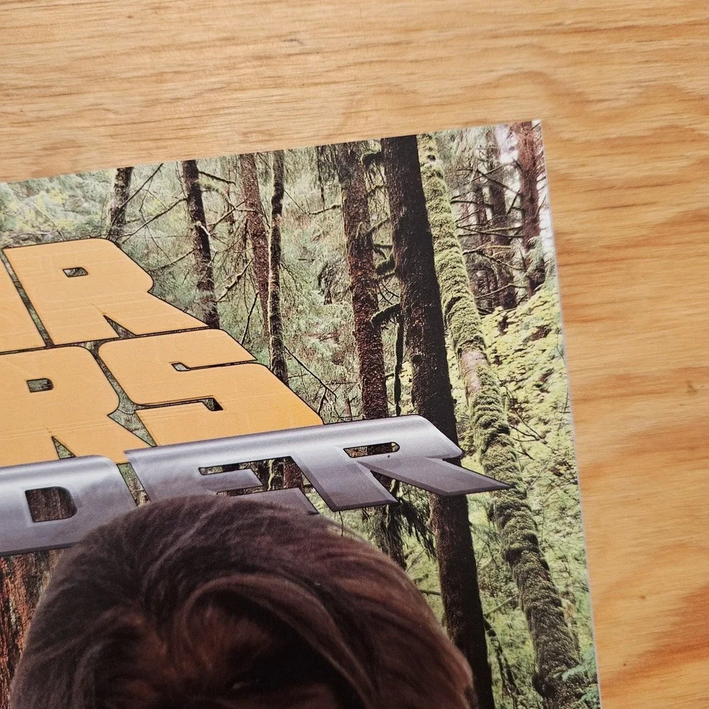 Star Wars Insider Issue 28 Chewbacca Mayhew Fan Club Subscription